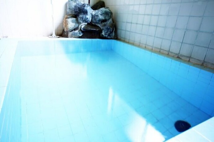 Imagen de la piscina del Hotel Yuzawa Ski House. Foto 6