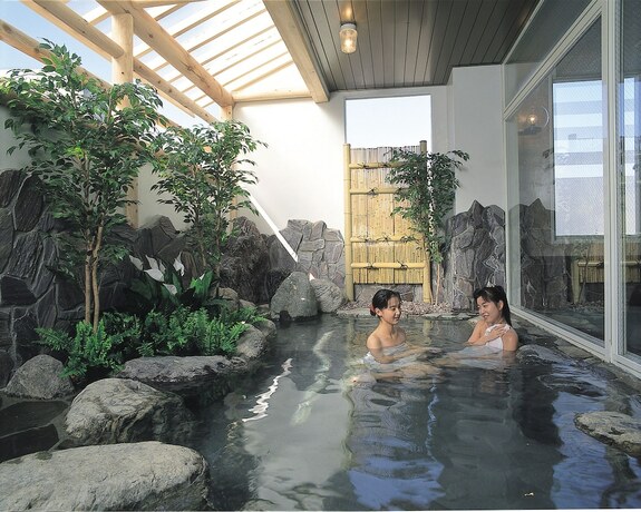 Imagen general del Hotel Yuzawa Yuzawa. Foto 2