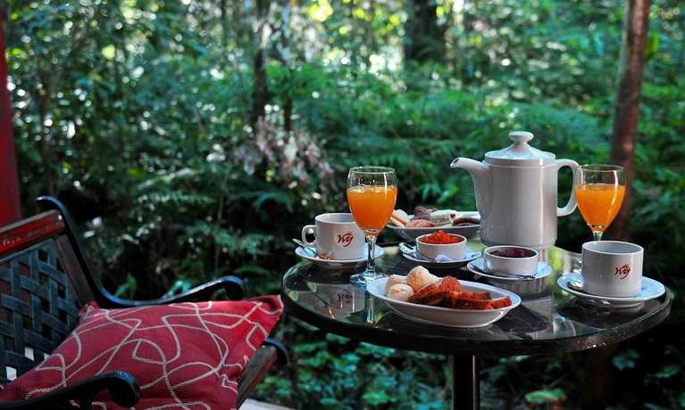 Imagen del bar/restaurante del Hotel Yvy De Selva. Foto 3