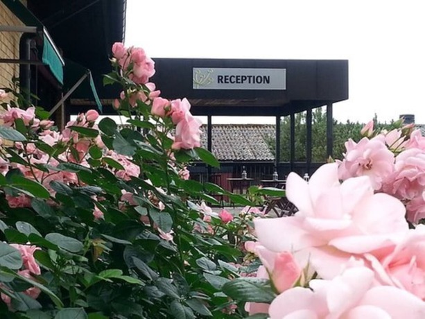 Imagen de los interiores del Hotel Yxneruml. Foto 18