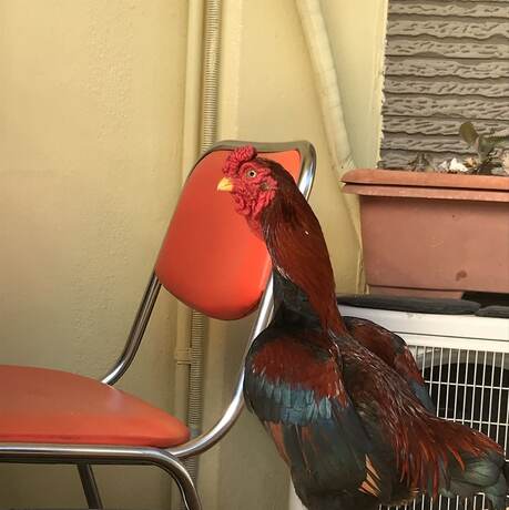 Imagen general del Hotel ZAMAMIA International Guesthouse - Hostel. Foto 3