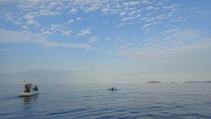 Imagen general del Hotel ZAMAMIA International Guesthouse - Hostel. Foto 8