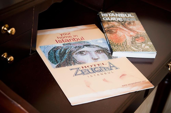 Imagen general del Hotel ZEUGMA. Foto 6