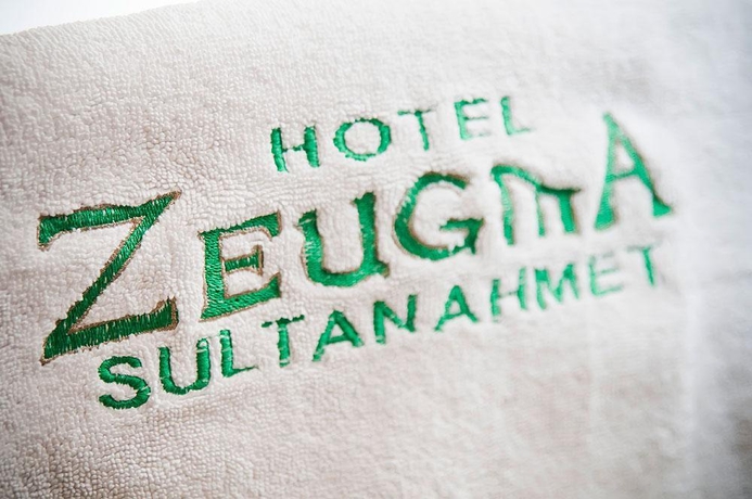 Imagen general del Hotel ZEUGMA. Foto 7