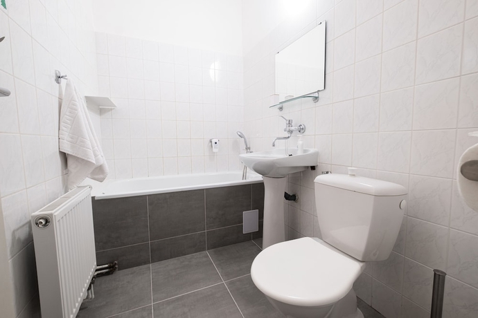 Imagen de la habitación del Hotel Z&aacute;meck&yacute; hotel Anton Florian. Foto 5