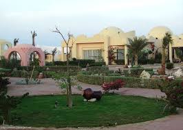 Imagen de los interiores del Hotel Zabargad Beach Resort. Foto 4