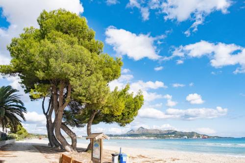 Imagen general del Hotel Zafiro Alzina Mar. Foto 2