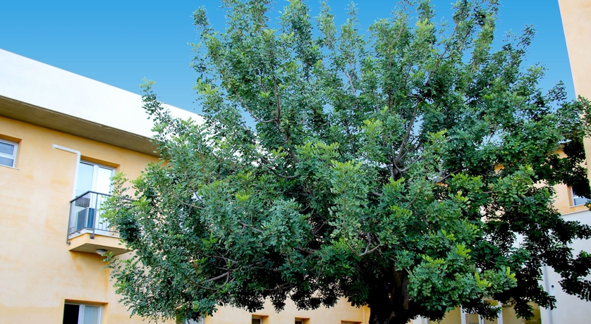 Imagen de los exteriores del Hotel Zaiera Resort Club. Foto 13