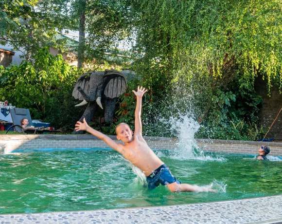 Imagen de la piscina del Hotel Zambezi Boutique Guesthouse. Foto 8