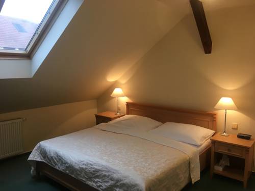 Imagen de la habitación del Hotel Zamecky Lednice. Foto 4