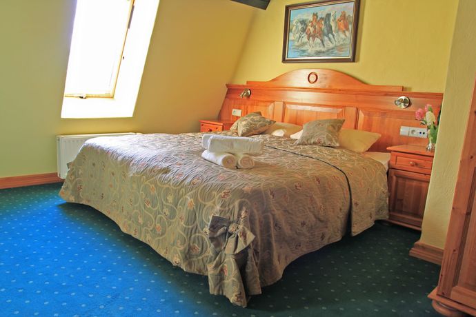 Imagen de la habitación del Hotel Zamkowy. Foto 12