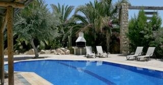 Imagen de la piscina del Hotel Z&X Holiday Villas. Foto 3