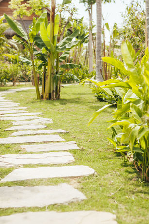 Imagen de los exteriores del Hotel Zannier Hotels Phum Baitang. Foto 15