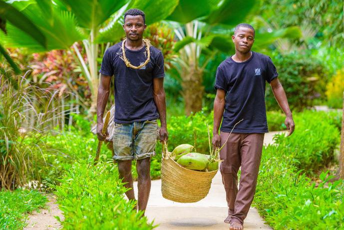 Imagen del bar/restaurante del Hotel Zanzi Resort. Foto 14