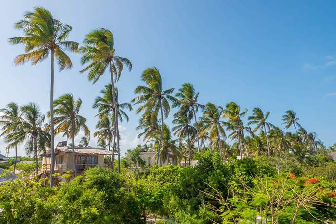 Imagen general del Hotel Zanzibar White Sand Luxury Villas and Spa. Foto 11