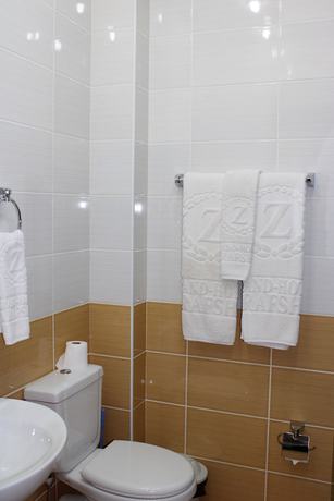 Imagen de la habitación del Hotel Zarafshan Grand Hotel. Foto 8