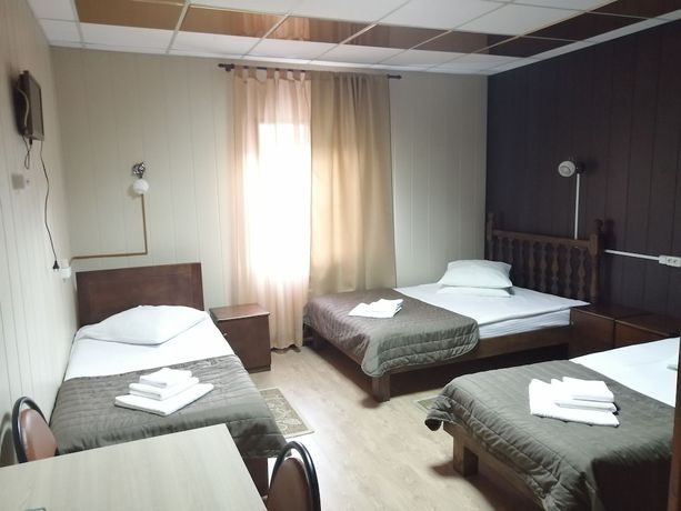 Imagen de la habitación del Hotel Zastava, Vlad&iacute;mir. Foto 3