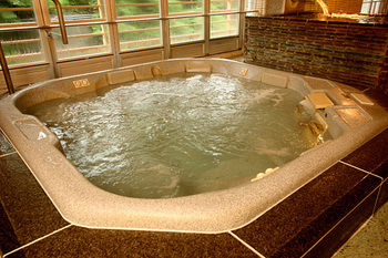 Imagen de los interiores del Hotel Zazan Minakami. Foto 8