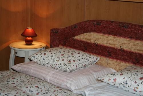 Imagen general del Hotel Zderaz. Foto 3