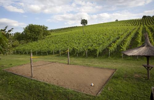 Imagen general del Hotel Zdjelarevic Hotel y Winery. Foto 5