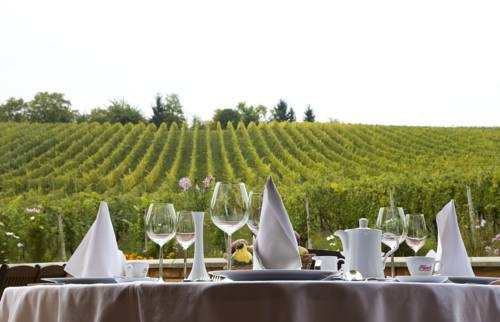 Imagen general del Hotel Zdjelarevic Hotel y Winery. Foto 8