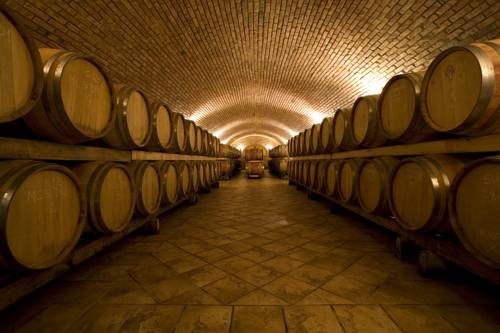 Imagen general del Hotel Zdjelarevic Hotel y Winery. Foto 9