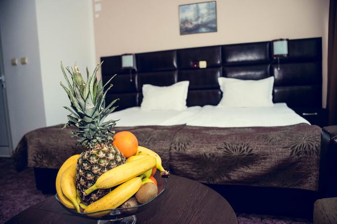 Imagen de la habitación del Hotel Zdravets Wellness and SPA. Foto 3