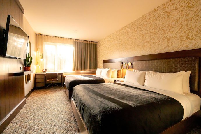 Imagen de la habitación del Hotel Zed Tofino. Foto 3