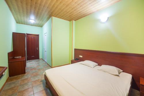 Imagen de la habitación del Hotel Zedazeni. Foto 5
