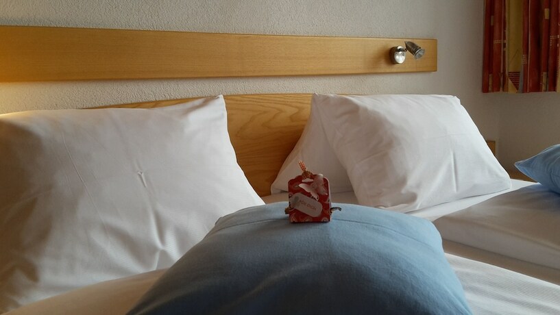 Imagen general del Hotel Zedlacherhof. Foto 4