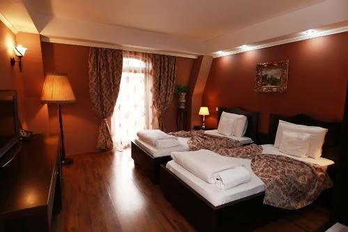 Imagen de la habitación del Hotel Zefir, Timisoara. Foto 7