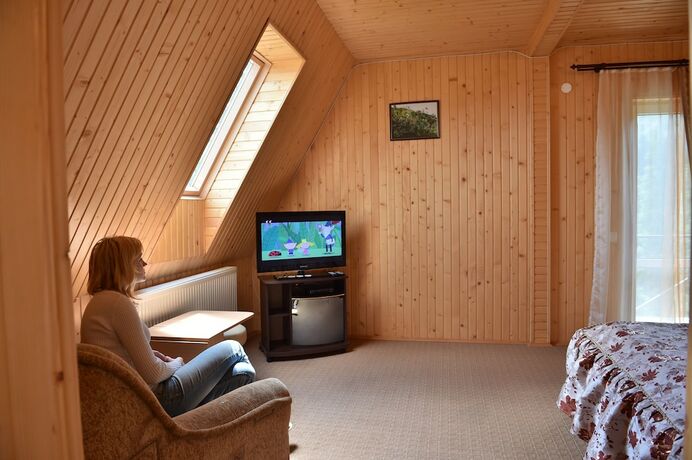 Imagen de la habitación del Hotel Zelenaj Dacha. Foto 16