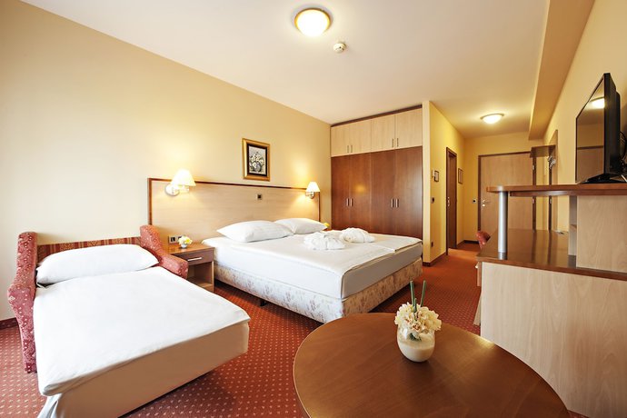 Imagen de la habitación del Hotel Zeleni Gaj- Savas and Resorts. Foto 10