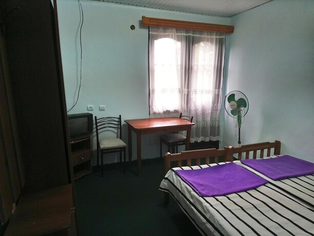 Imagen general del Hotel Zeleny Dom. Foto 9