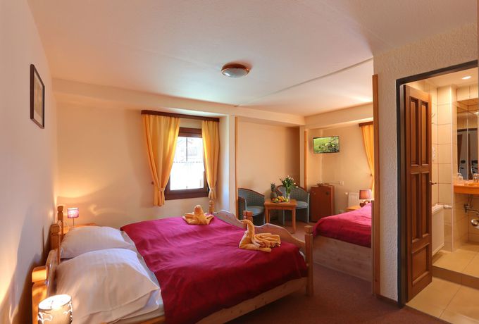 Imagen de la habitación del Hotel Zelen&yacute; Dům. Foto 10