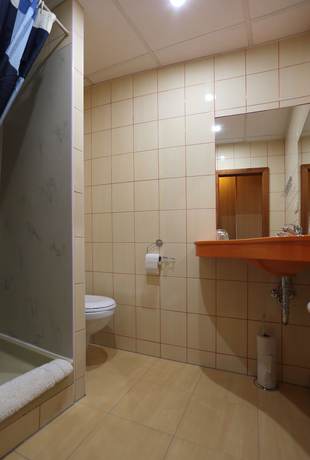 Imagen de la habitación del Hotel Zelen&yacute; Dům. Foto 11