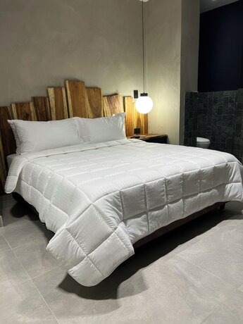 Imagen general del Hotel Zelva Negra, MEDELLIN. Foto 12