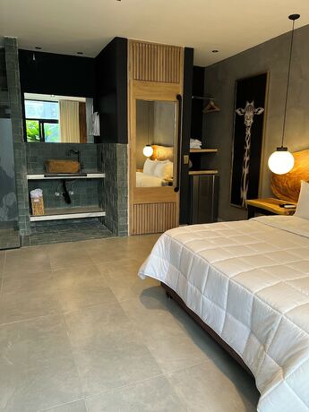Imagen de la habitación del Hotel Zelva Negra, MEDELLIN. Foto 16