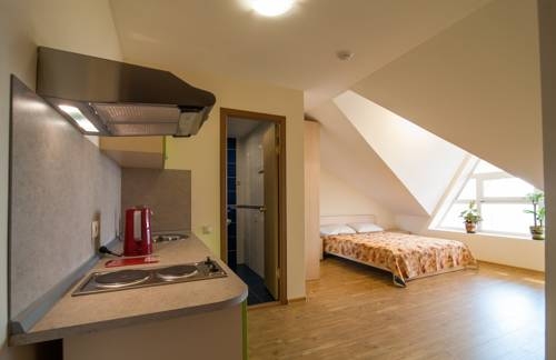 Imagen de la habitación del Hotel Zelyony Bereg Hotel. Foto 4