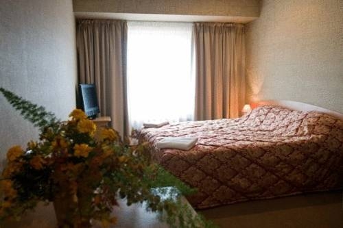 Imagen de la habitación del Hotel Zemgale. Foto 2