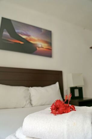 Imagen de la habitación del Hotel ZenHarmony Suites. Foto 18
