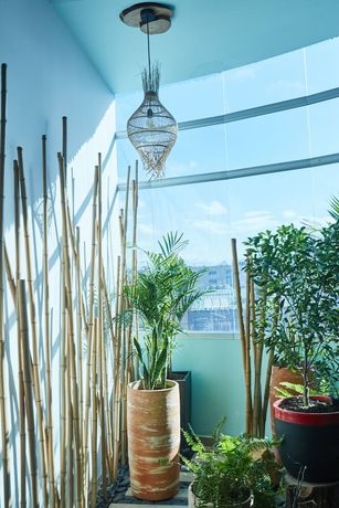 Imagen de los interiores del Hotel Zensual. Foto 9
