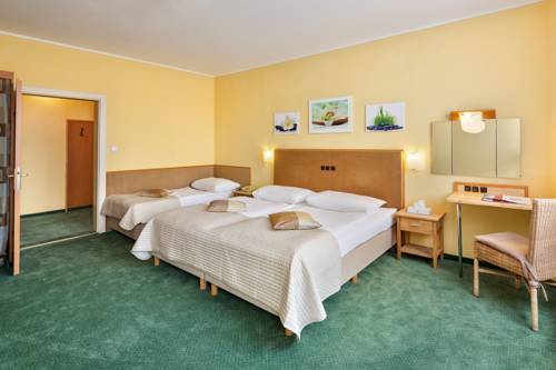 Imagen de la habitación del Hotel Zentral, Wiener Neustadt. Foto 13