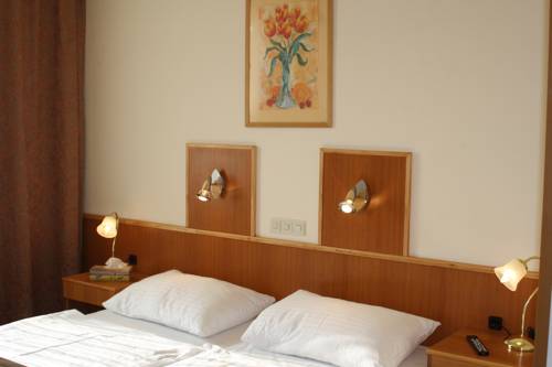 Imagen de la habitación del Hotel Zentral, Wiener Neustadt. Foto 15