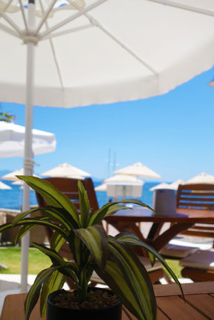Imagen del bar/restaurante del Hotel Zest Exclusive and Spa. Foto 5