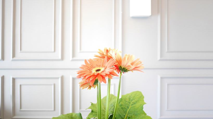 Imagen de los interiores del Hotel Zetter Suites. Foto 16