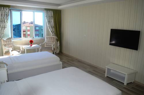 Imagen de la habitación del Hotel Zeugma Park. Foto 6