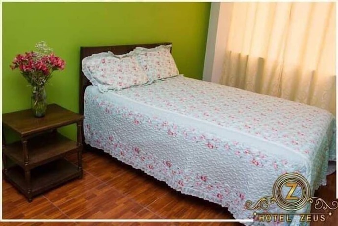 Imagen de la habitación del Hotel Zeus, Ayacucho. Foto 18