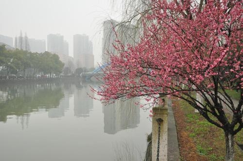Imagen general del Hotel Zhejiang Xiangyuan. Foto 1