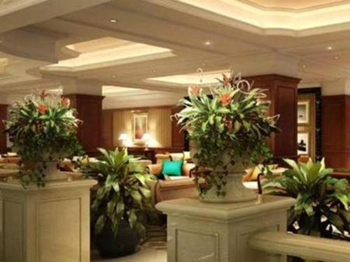 Imagen general del Hotel Zhengzhou Yiquan International. Foto 5